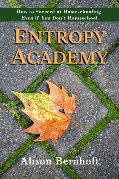 Entropy Academy Alison Bernhoft